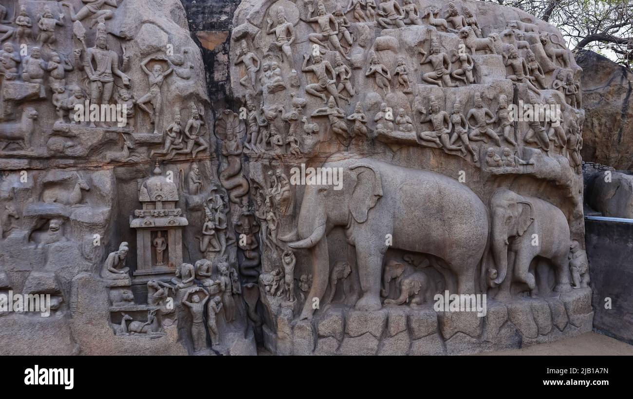 Felswand mit Arjunas Buße und Abstieg von ganga, Elefanten-Skulpturen, Mahabalipuram, Tamilnadu, Indien Stockfoto