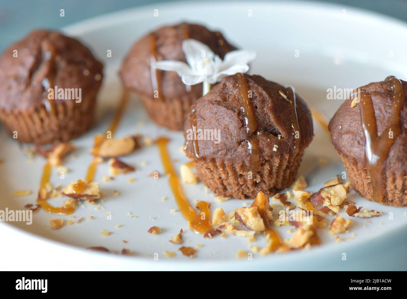 Cupcakes aus der Nähe. Set von Cupcakes, Muffins auf einem weißen Teller. Ausgewählter Fokus Stockfoto