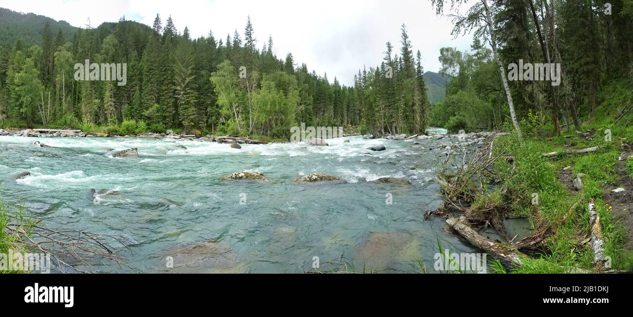 Geographie, Potamologie. Panorama des Altai-Gebirges (Sporen) und der Täler mit gemischten Bergwäldern und Gebirgsschwärme rollenden Fluss mit rauem Fluss Stockfoto