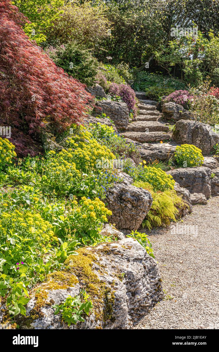 Frühling in den Gärten von Sizergh Castle im englischen Lake District in der Nähe von Kendal, Cumbria, England Stockfoto