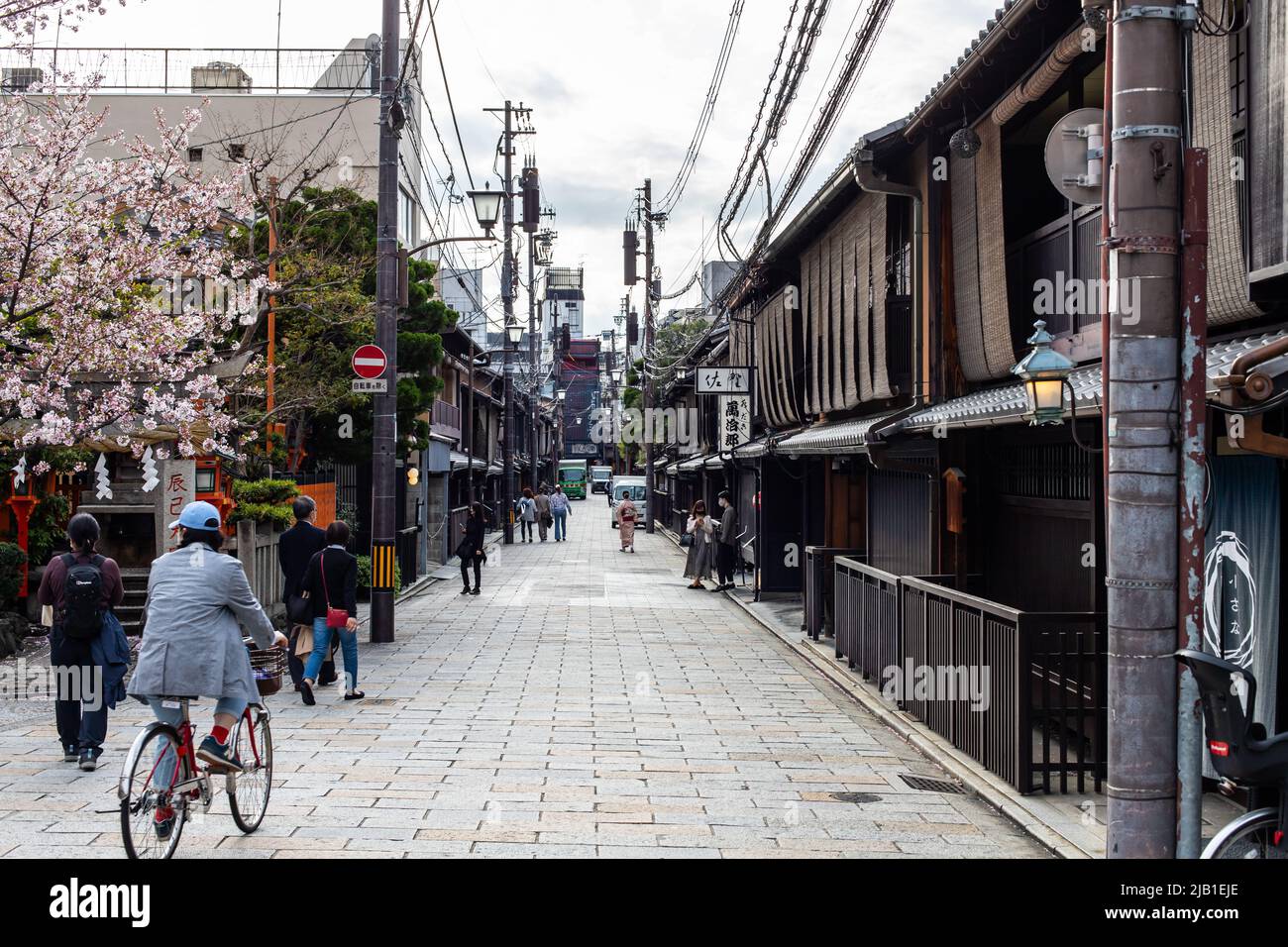 Shinbashi Dori Street, bekannt als traditionelles Geisha-Viertel, mit Sakura-Kirschblüte im Frühling. Es gibt traditionelle Ochaya und die Leute tragen Kimono Stockfoto