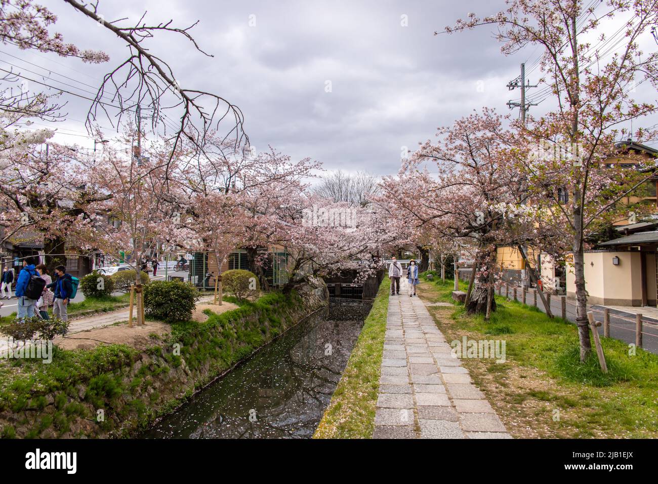 Philosopher's Walk, ein Pfad, der an bewölktem Tag einem von Kirschbäumen gesäumten Kanal (Lake Biwa) folgt. Es ist ein beliebter Ort für Menschen während der Hanami-Saison. Stockfoto