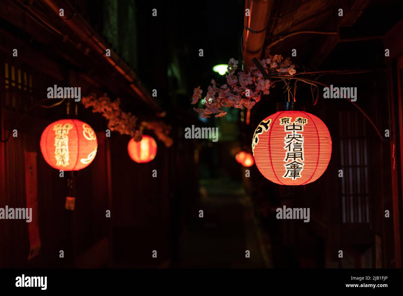 Miyagawa-Cho, Kyoto Hanamachi (Geisha-Bezirk), bei Nacht. Ochaya dekoriert mit Sakura und Laterne. Übersetzung : Kyoto Central Shinkin Bank Stockfoto