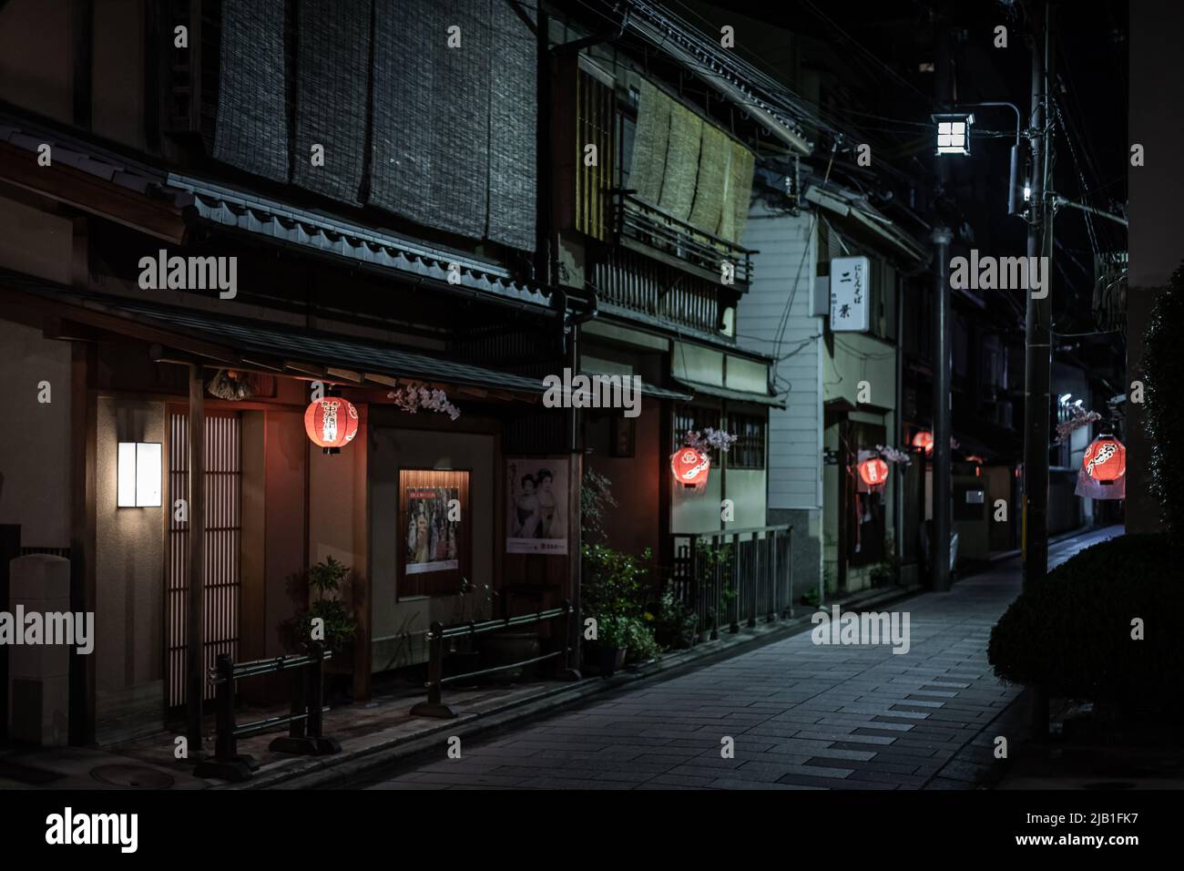 Straßenbild von Miyagawa-Cho, einem der Kyoto Hanamachi- oder Geisha-Viertel, bei Nacht. Ochaya dekoriert mit einem Zweig von Sakura und Laterne. Stockfoto