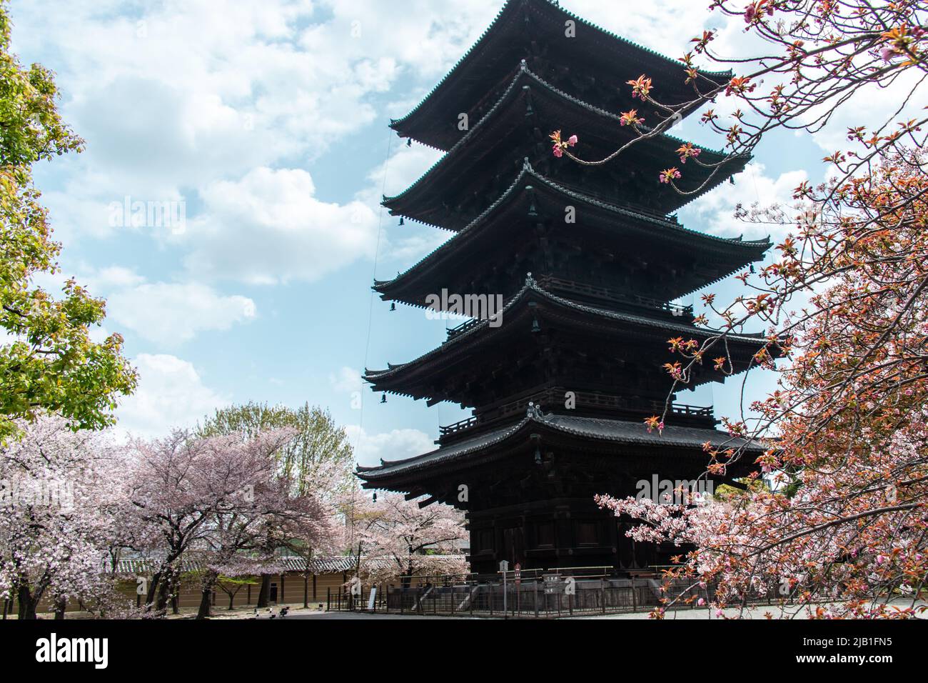 Die 5-stöckige Pagode (Gojunoto) von To-ji. Die ursprüngliche Pagode wurde im 9.. Jahrhundert erbaut und im Auftrag wieder aufgebaut.Sie steht 54,8 Meter (180 Fuß) hoch Stockfoto