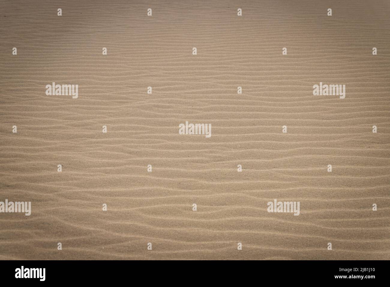 Dürre Sanddünen mit Wellenspuren. In der Geologie sind Ripplemarken sedimentäre Strukturen und deuten auf eine Agitation durch Wasser oder Wind hin. Für Kopierbereich Stockfoto