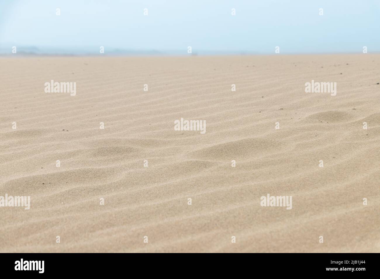Nahaufnahme Ripple Marks auf Sand Dunes. In der Geologie sind Ripplemarken sedimentäre Strukturen und deuten auf eine Erregung durch Wasser (Strömung oder Wellen) oder Wind hin Stockfoto