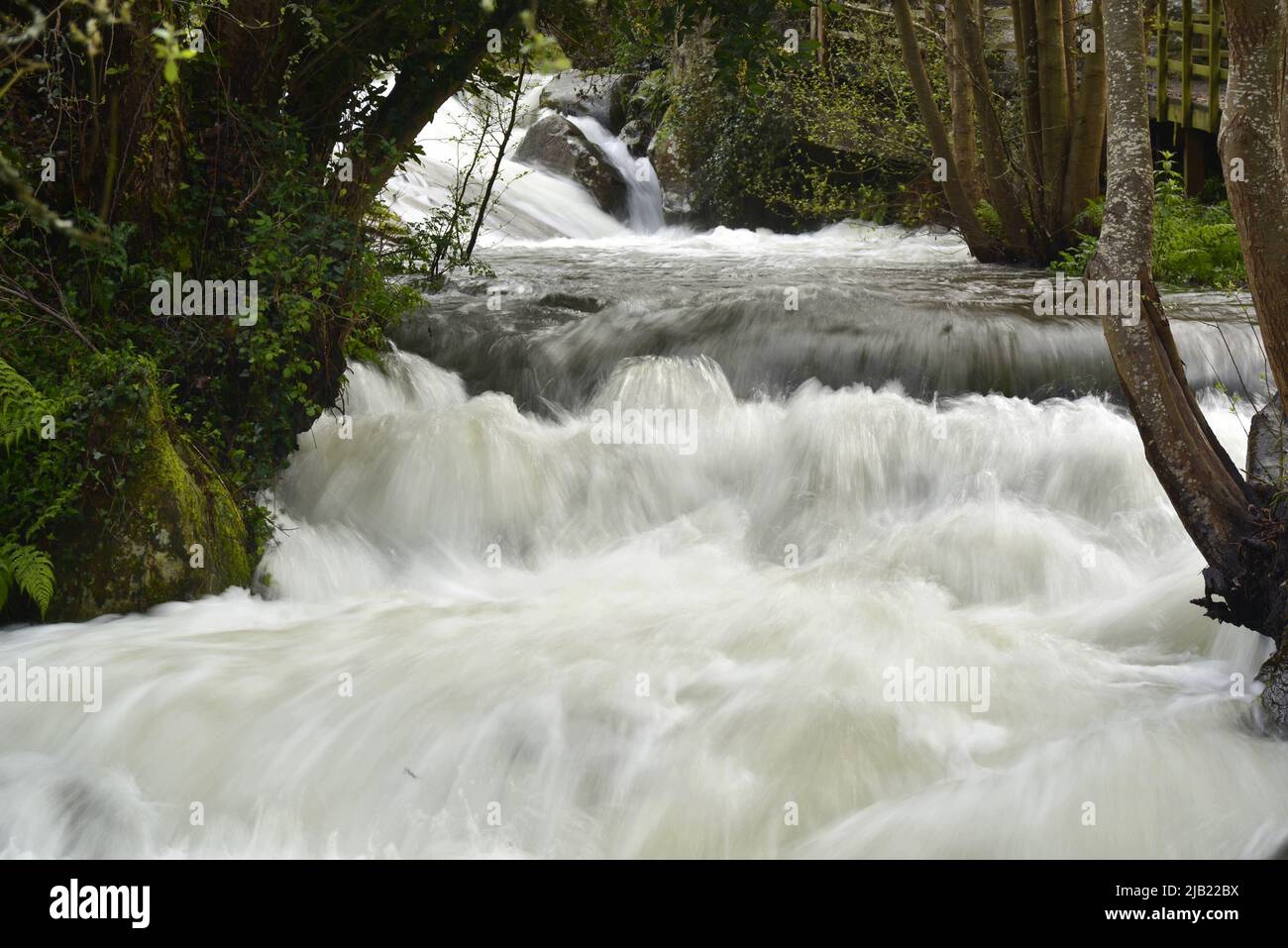 Der Fluss Baiña ist vom Sturm überschwemmt Stockfoto