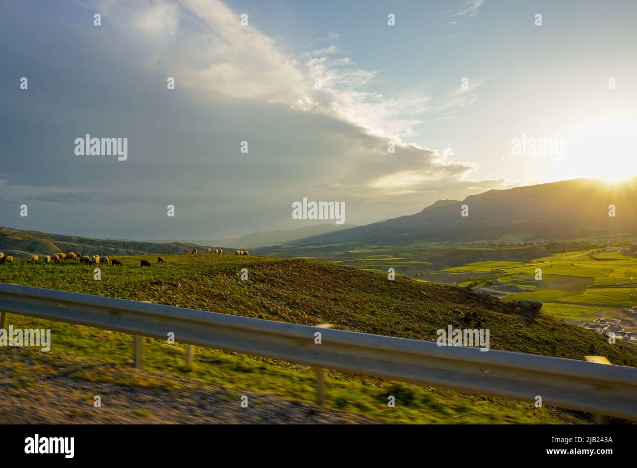 Grüne Felder in Cizre Türkei bei Sonnenuntergang Stockfoto