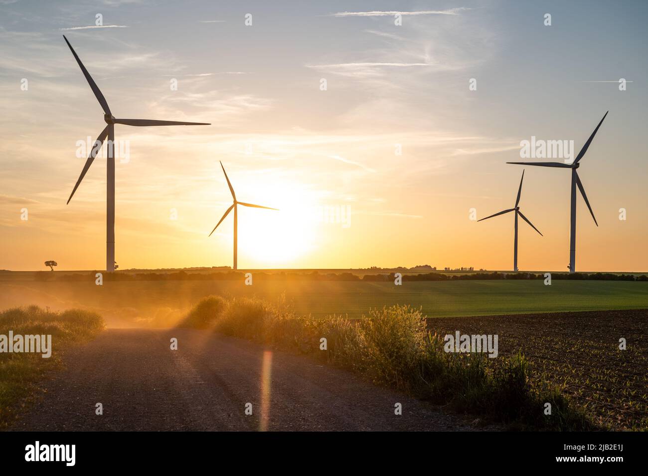 Halten Sie die Ruhe von Windturbinen fest, die saubere Elektrizität inmitten einer landwirtschaftlichen Landschaft erzeugen, ergänzt durch eine unbefestigte Straße im Vordergrund. Stockfoto
