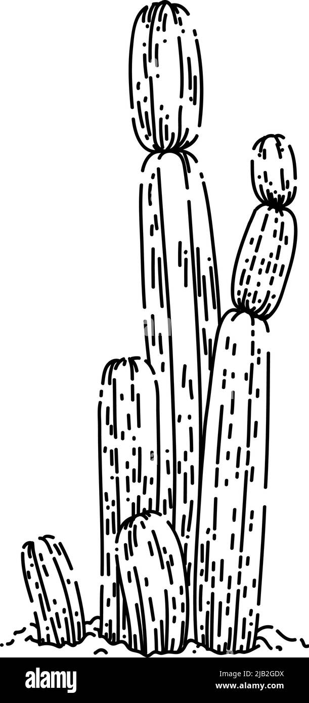 Handgezeichneter Vektor mit Kaktus-Wüstenskizze Stock Vektor