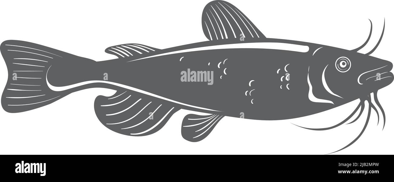 Wels-Symbol. Schwarze Fischsilhouette. Seafood-Logo auf weißem Hintergrund isoliert Stock Vektor
