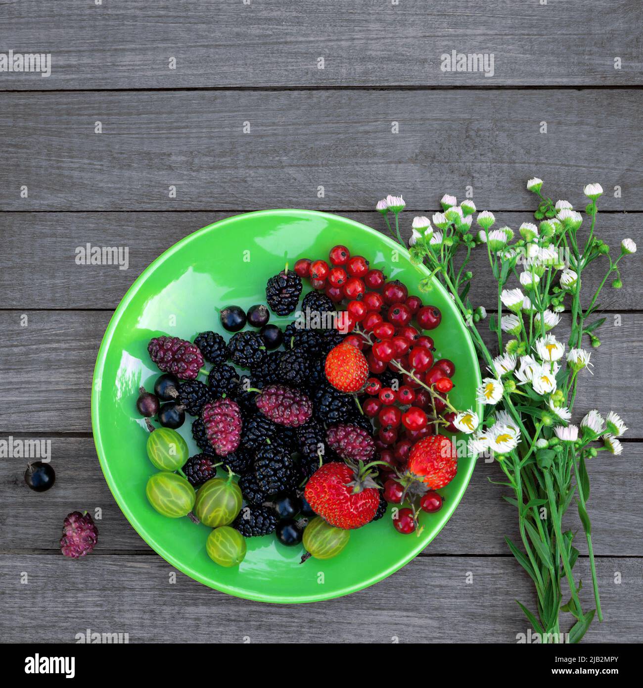 Beerenmischung - Johannisbeeren, Stachelbeeren, Maulbeeren, Erdbeeren auf einem Teller neben einem Strauß wilder Blumen auf einem hölzernen Hintergrund mit Kopierfläche. Sommer Stockfoto