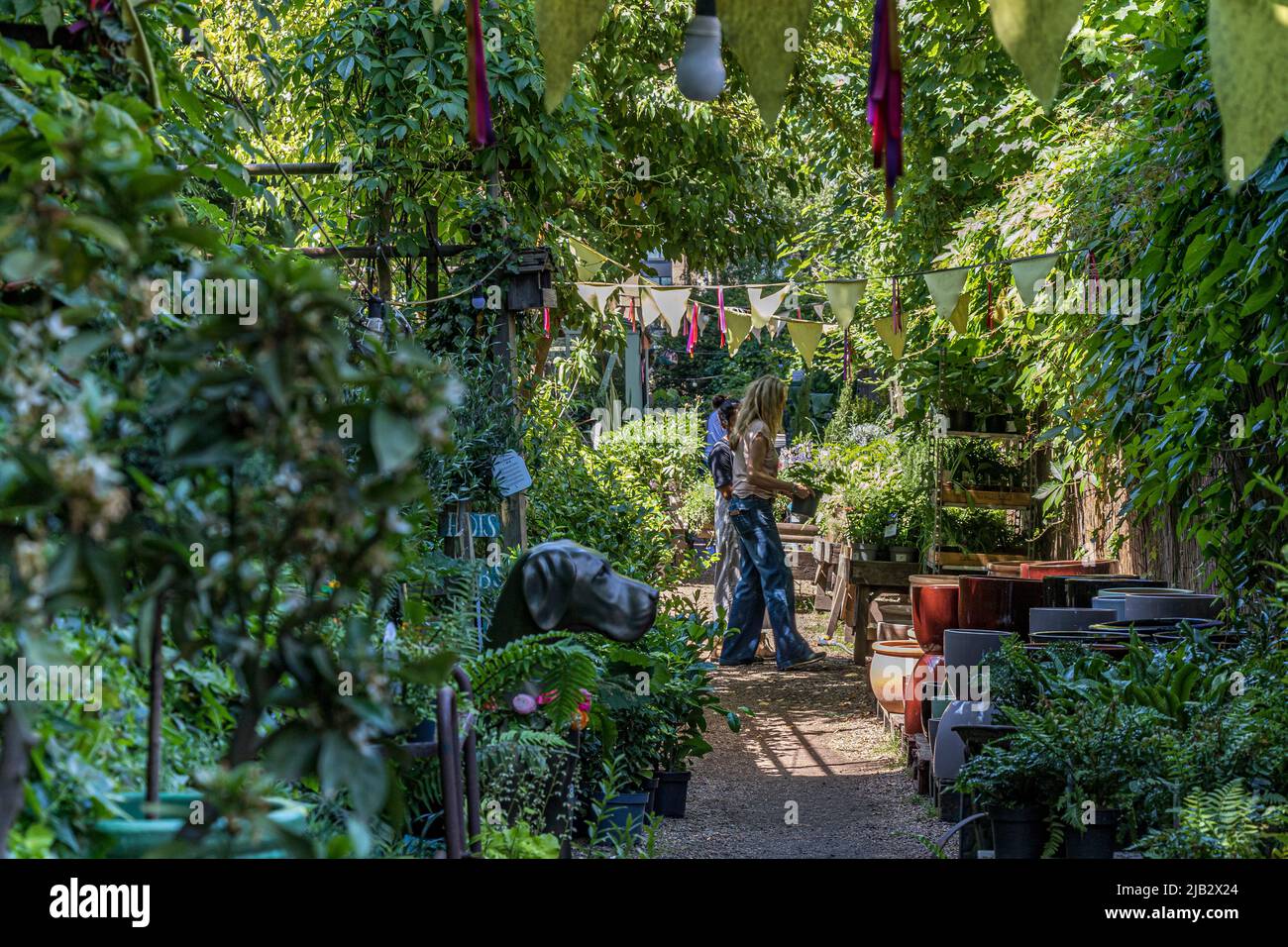 Leute, die in der Battersea Flower Station einkaufen, einem Gartenzentrum, einem Fabrikladen und Blumenladen in SW London, gelegen an der Battersea Park Road, London, SW11 Stockfoto