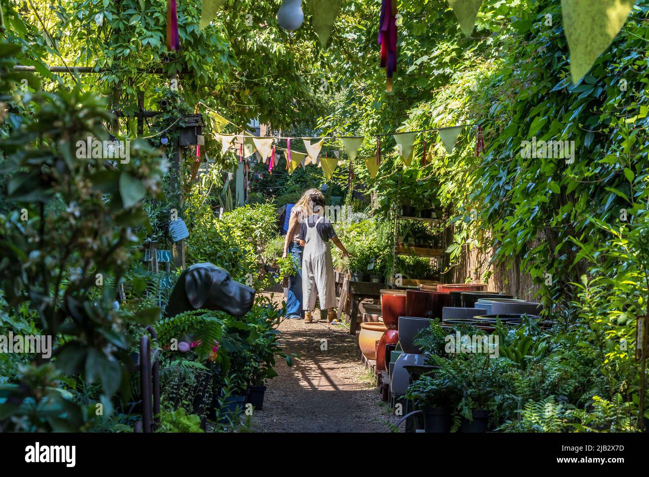Leute, die in der Battersea Flower Station einkaufen, einem Gartenzentrum, einem Fabrikladen und Blumenladen in SW London, gelegen an der Battersea Park Road, London, SW11 Stockfoto