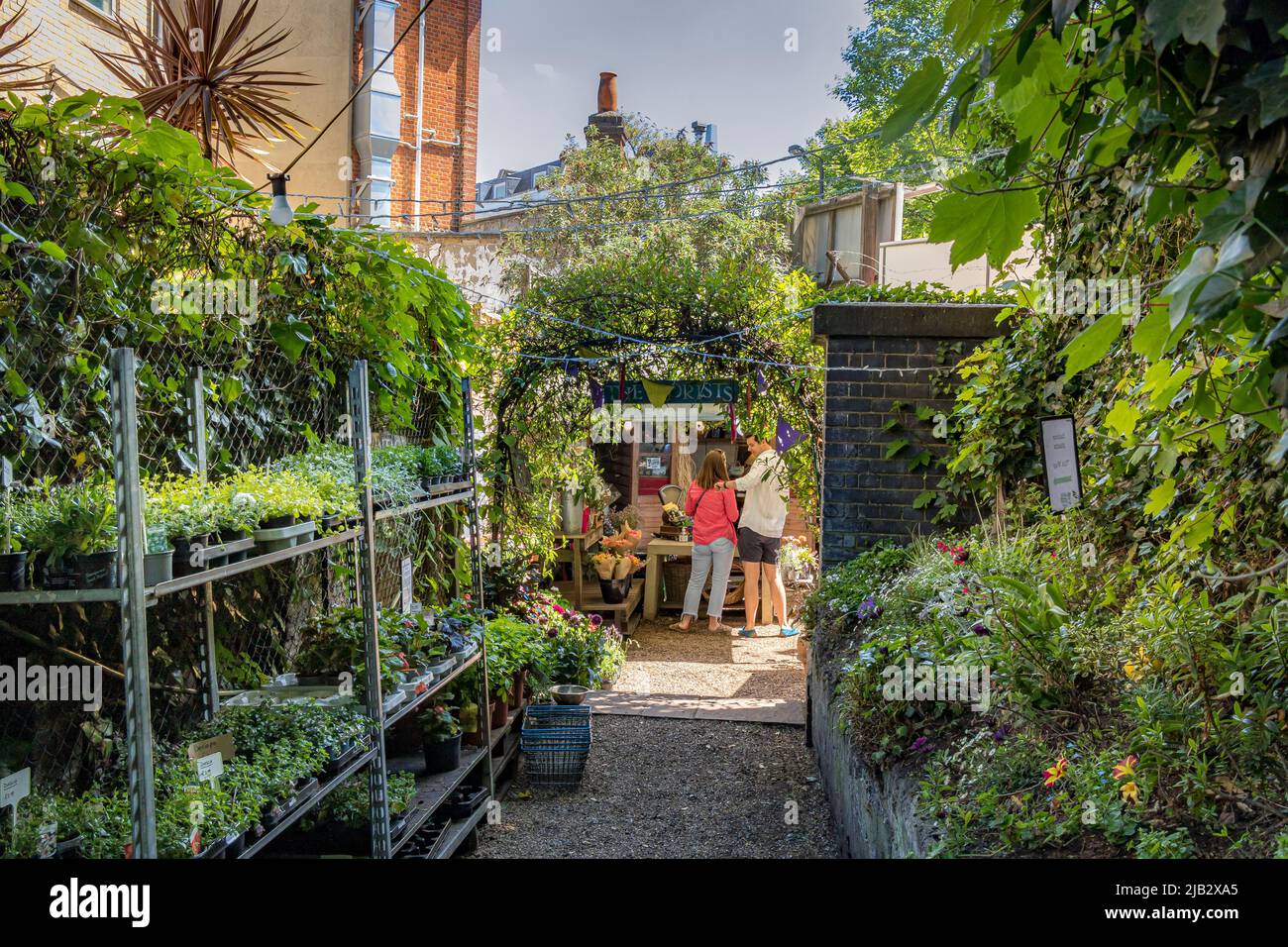 Leute, die in der Battersea Flower Station einkaufen, einem Gartenzentrum, einem Fabrikladen und Blumenladen in SW London, gelegen an der Battersea Park Road, London, SW11 Stockfoto