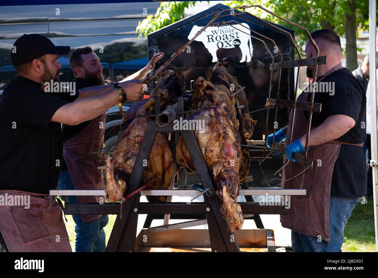 Windsor, Großbritannien. 2.. Juni 2022. Der geröstete Ochse wird aus dem Bräter genommen. Ein von Ihrer Majestät der Königin gestifteter Ochse wurde heute in Batchelor's Acre gebraten. Menschen, die eine Eintrittskarte für den Ochsenbraten gekauft haben, erhielten ebenfalls eine Teilnahmebescheinigung. Die ersten Scheiben wurden von Sir James Perowne, Govenor von Windsor Castle, und dem Bürgermeister von Windsor und Maidenhead, Cllr Christine Bateson, geschnitten. Quelle: Maureen McLean/Alamy Live News Stockfoto