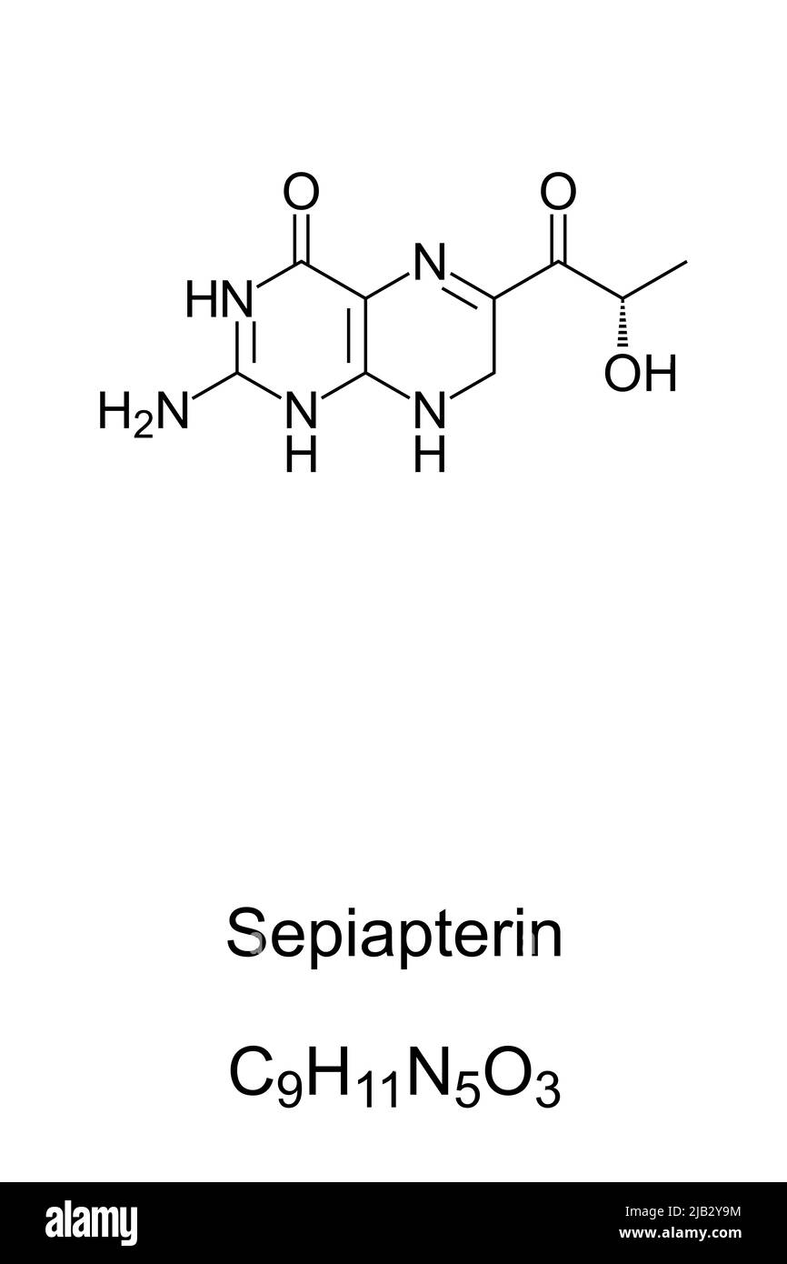 Sepiapterin, Sepia-Farbe, chemische Formel und Struktur. Farbe, benannt nach dem dunkelbraunen Pigment, das vom gemeinen Tintenfisch Sepia stammt. Stockfoto
