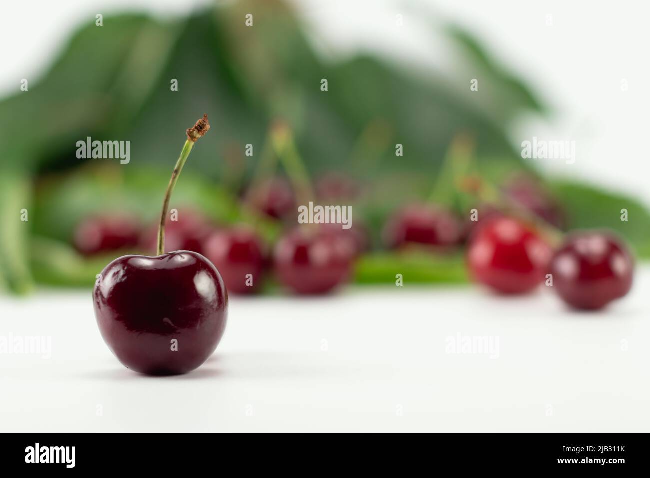 Beeren reife Kirschen isoliert auf weißem Hintergrund. Selektiver Fokus. Stockfoto