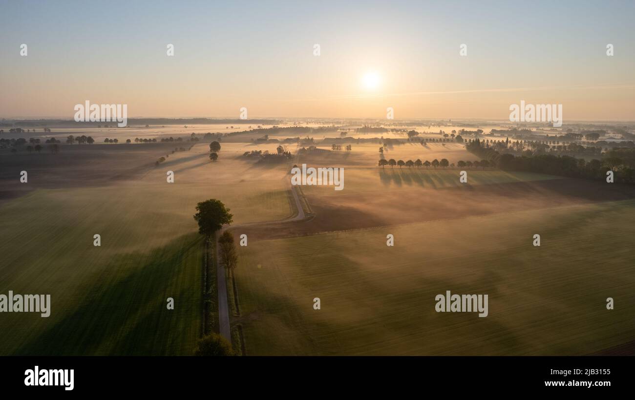 Luftdrohne Aufnahme einer wunderschönen grünen und gelben landwirtschaftlichen Plantagen, die an die wilden Wälder Belgiens, Europas, angrenzten, mit den goldenen Sonnenstrahlen, die eine magische Decke über den grünen Feldern schufen. Landwirtschaft Felder von Gemüse, Weinberge. Massiver industrieller Anbau von umweltfreundlichen Lebensmitteln. Hochwertige Fotos Stockfoto