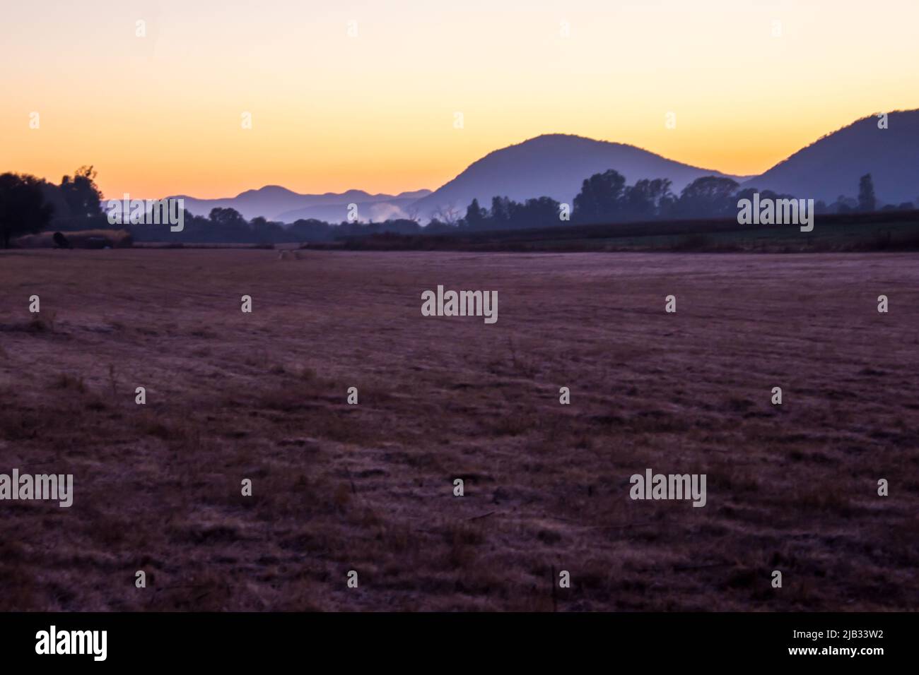 Erstes Licht bei Dawn über einer Farm in Südafrika an einem Wintermorgen mit Frost noch auf dem Gras Stockfoto