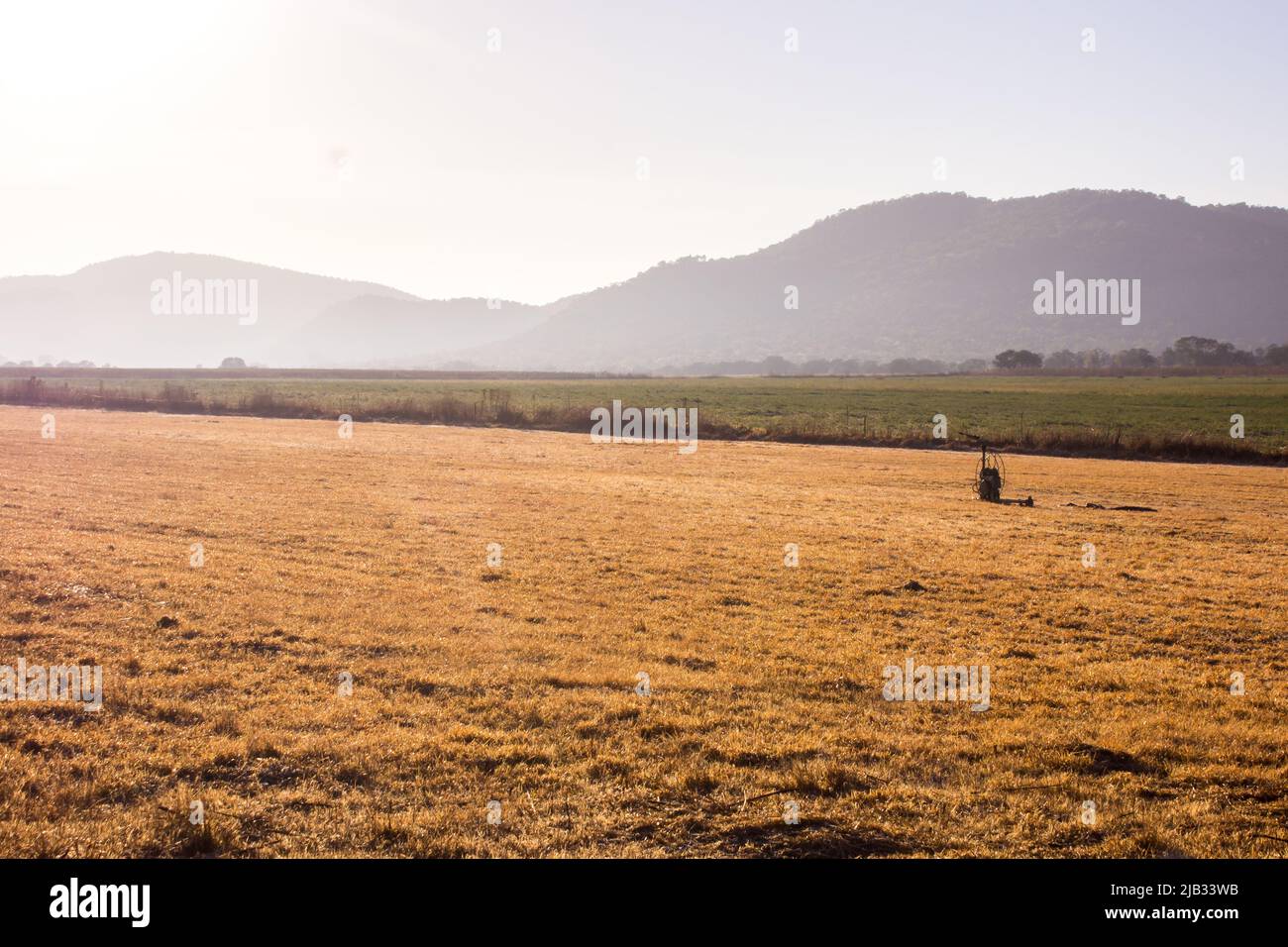 Am frühen Morgen Blick über ein Feld mit den trüben Graten des Vredesfort Dome im Hintergrund, Rural Free State Province South Africa Stockfoto