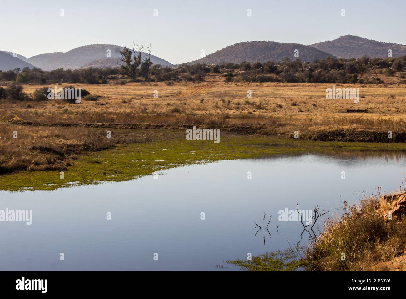 Ein kleiner See im Buschveld des ländlichen Südafrikas mit den Hügeln des Vredefort-Doms im Hintergrund Stockfoto
