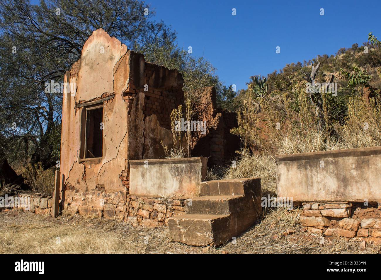 Die alte verlassene Ruine eines Bauernhauses im ländlichen Freistaat, etwas außerhalb der Stadt Parys, Südafrika, ist mit Kaki-Busch überwuchert Stockfoto
