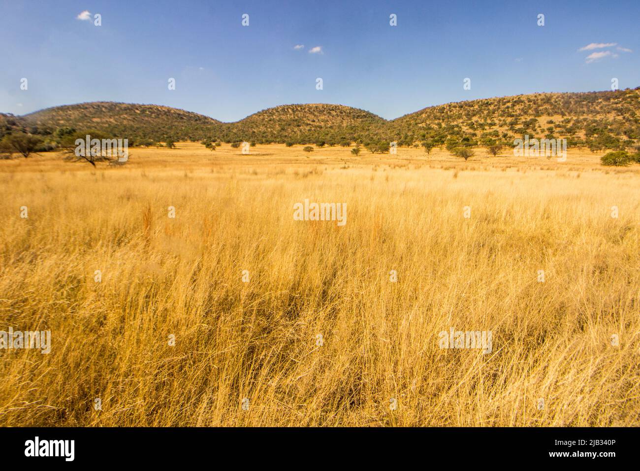 Diese hohen konzentrischen Grate, die die Landschaft dominiert, die vor etwa 2020 Millionen Jahren durch einen Einfluss des Steroids entstanden ist Stockfoto