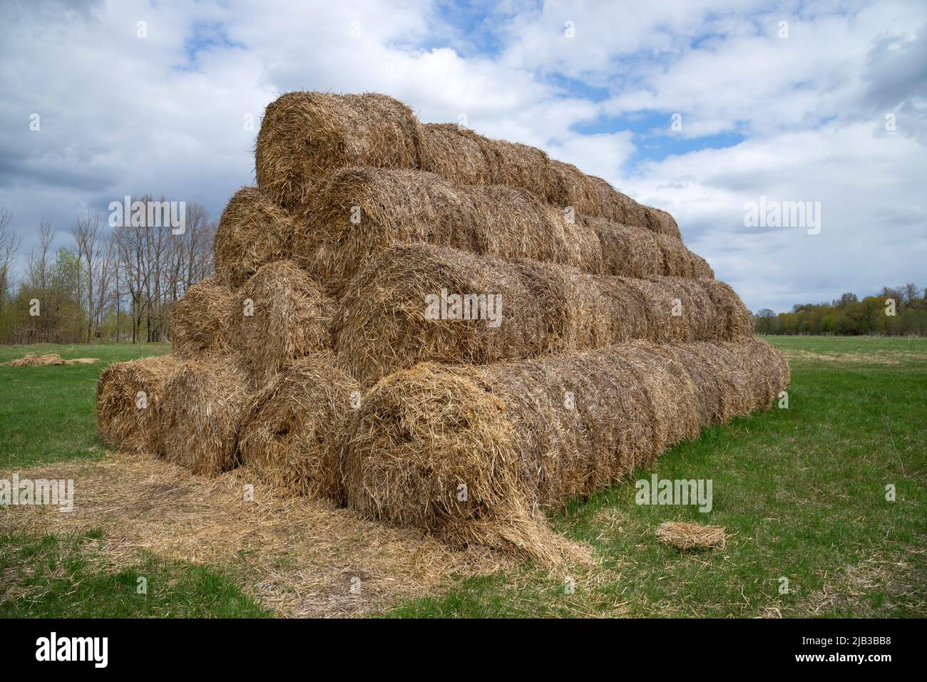 An einem Frühlingstag Rollen geerntetem Heu auf dem Feld. Russland Stockfoto