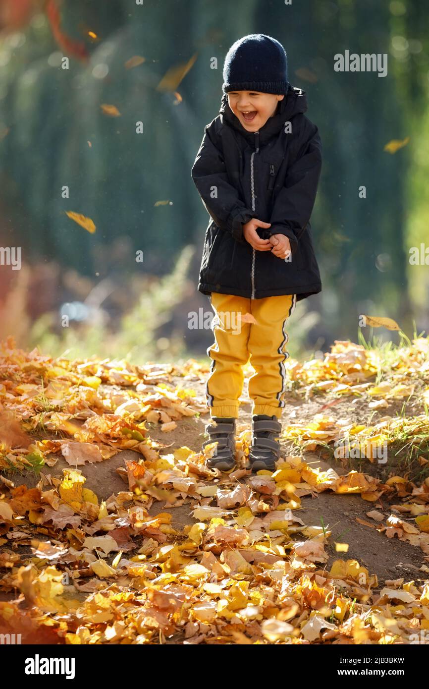 Fröhlicher Junge, der inmitten herbstlicher Blätter genießt. Das Konzept von Kindheit, Familie und Kind. Stockfoto