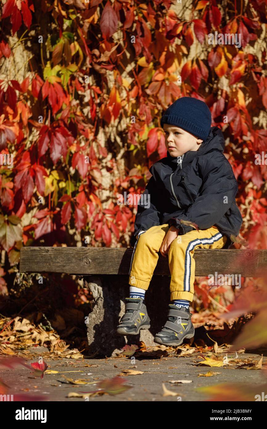 Einsamer netter Junge, der auf einer Bank vor einem Hintergrund leuchtend roter Herbstblätter sitzt. Stockfoto