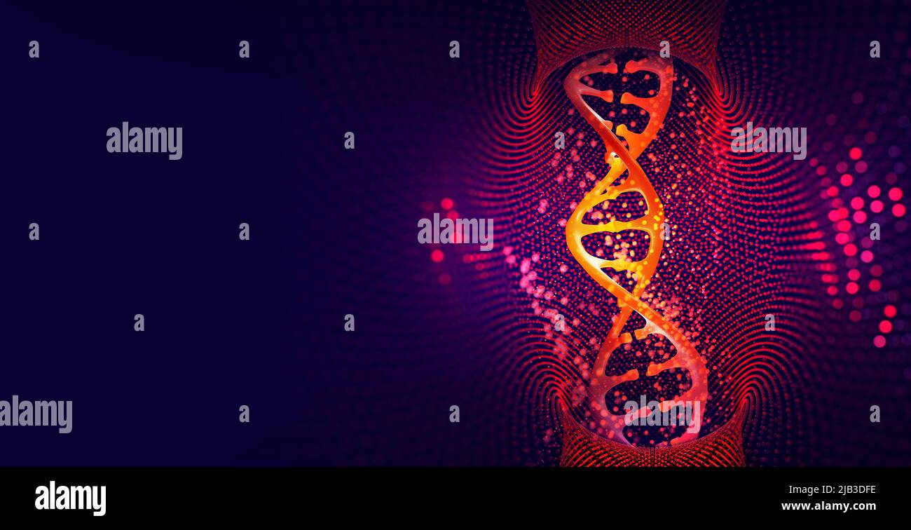 DNA. Forschungsmolekül. Wissenschaftlicher Durchbruch in der Humangenetik. 3D Illustration Analyse des Strukturgenoms Stockfoto