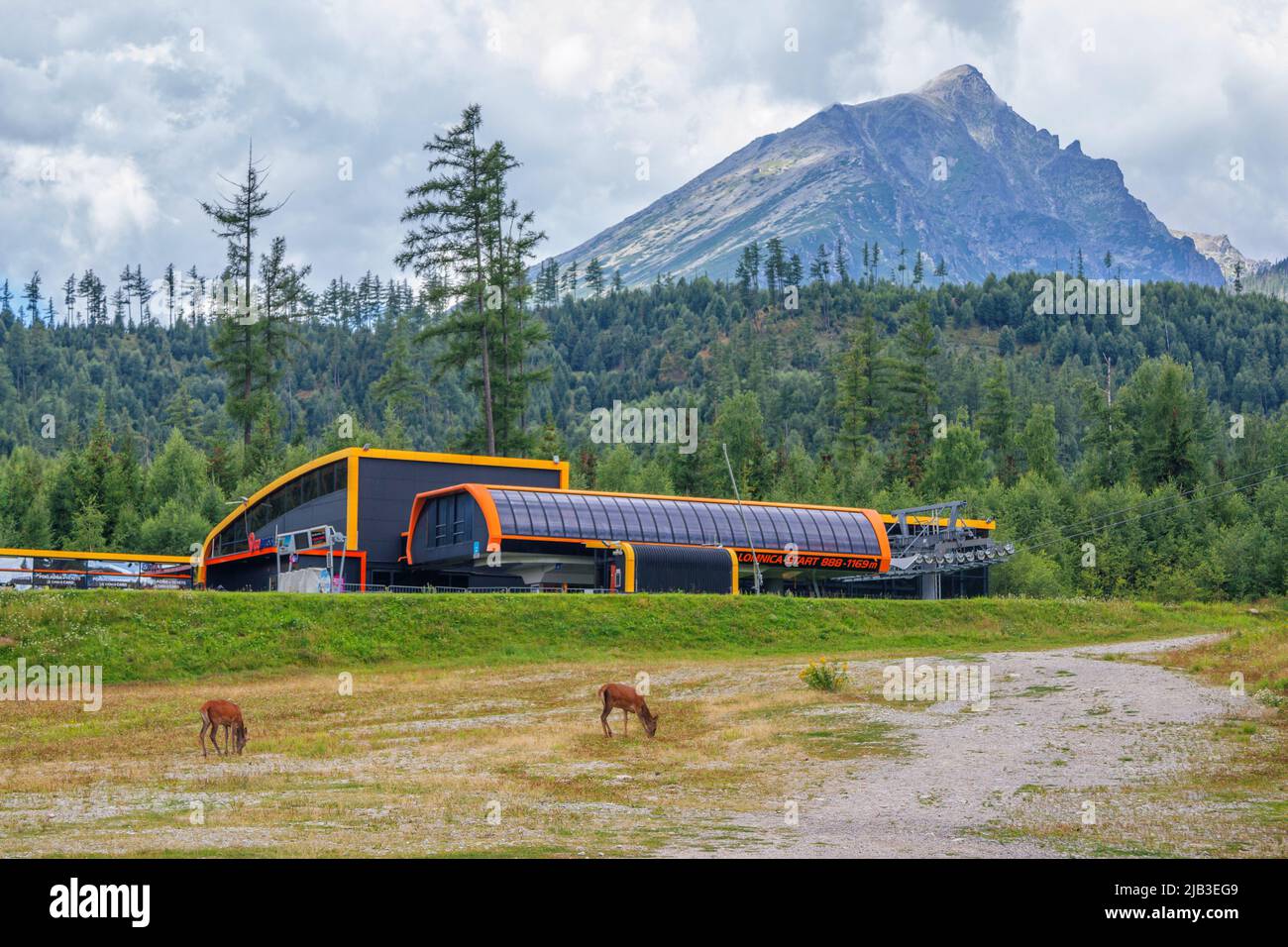 Tatranska Lomnica, Slowakei – 11. August 2021: Wunderschöne Sommerlandschaft des Bergortes – Seilbahnstation, Wald und Hirschenweide Stockfoto