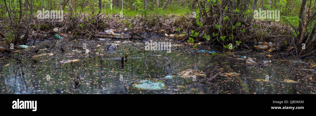 Müll schwimmt auf der Wasseroberfläche im Teich. Ökosystemproblem aufgrund von Umweltverschmutzung Stockfoto