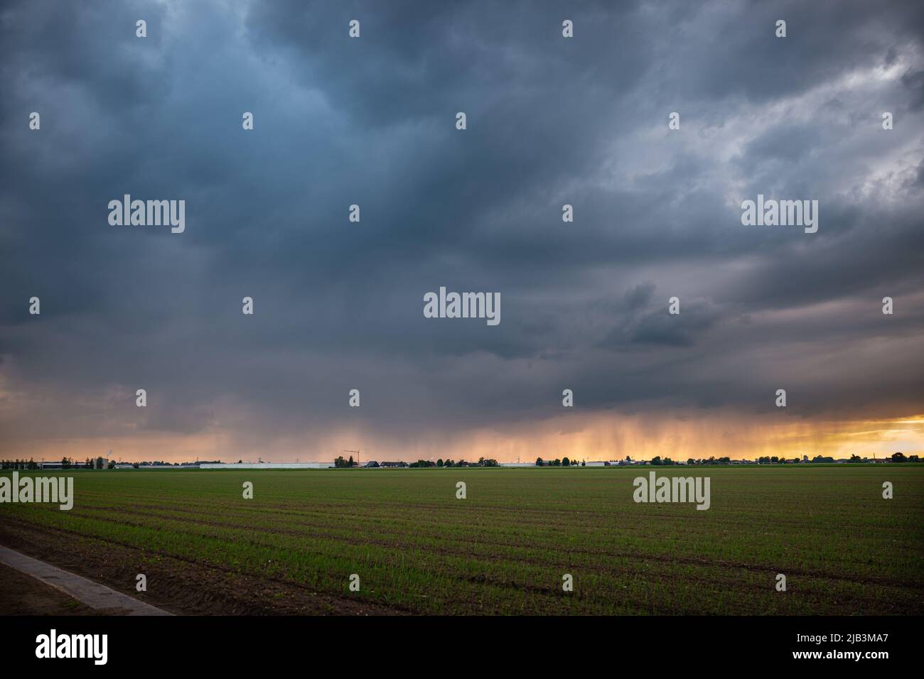 Regen fällt bei Sonnenuntergang von einem Gewitter über der niederländischen Landschaft Stockfoto