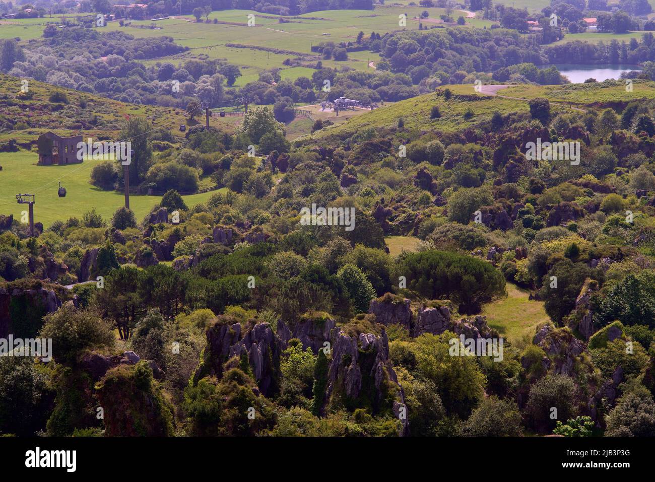Santander, Kantabrien Spanien juli 8 2020, Blick auf den Wald im Naturpark Cabarceno Stockfoto