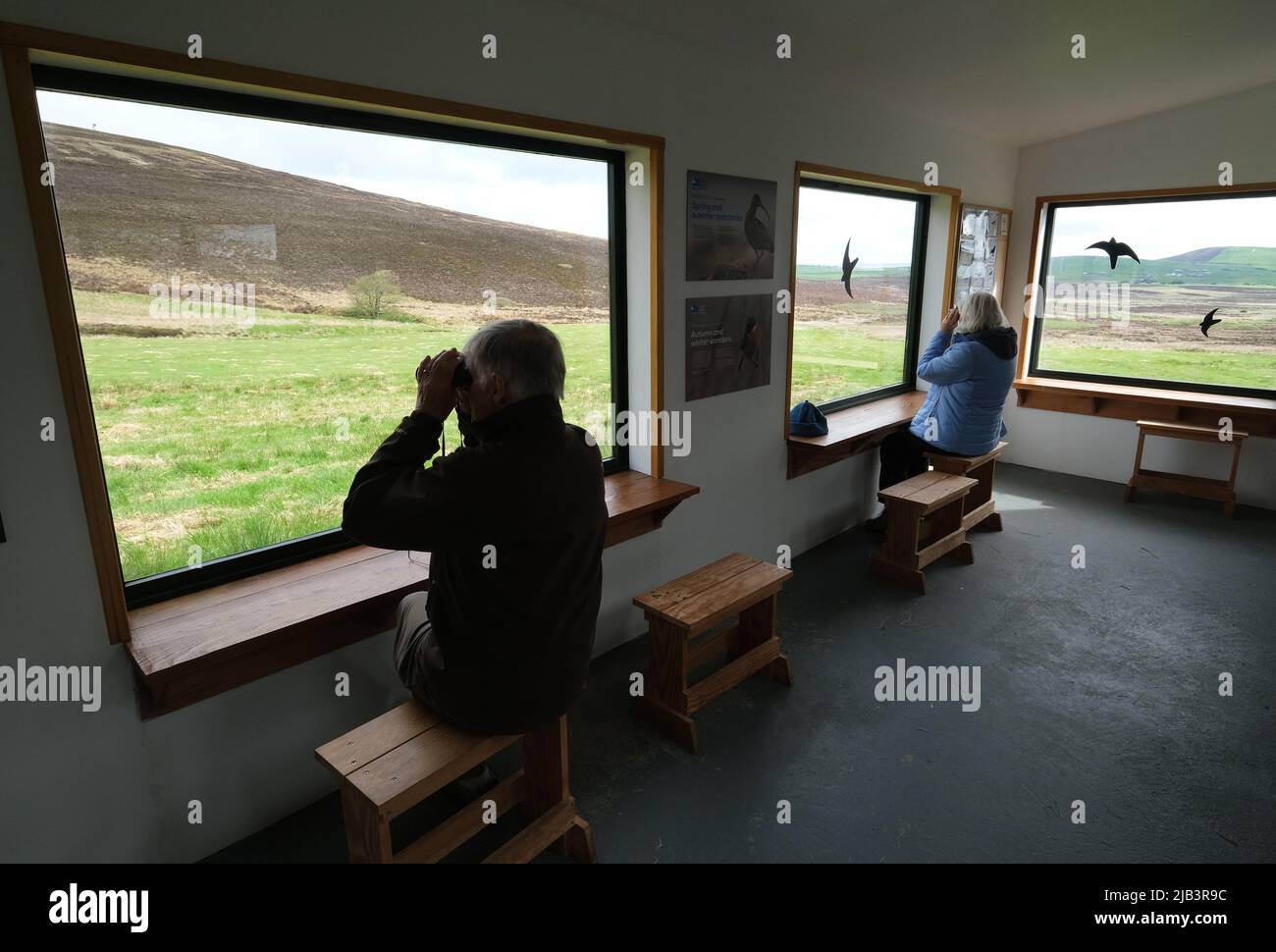 Vogelbeobachter suchen im Inneren der Eddie Balfour-Hütte im RSPB Cottascarth, Orkney-Festland, Orkney-Inseln, Schottland, nach Hennenweihen. Stockfoto