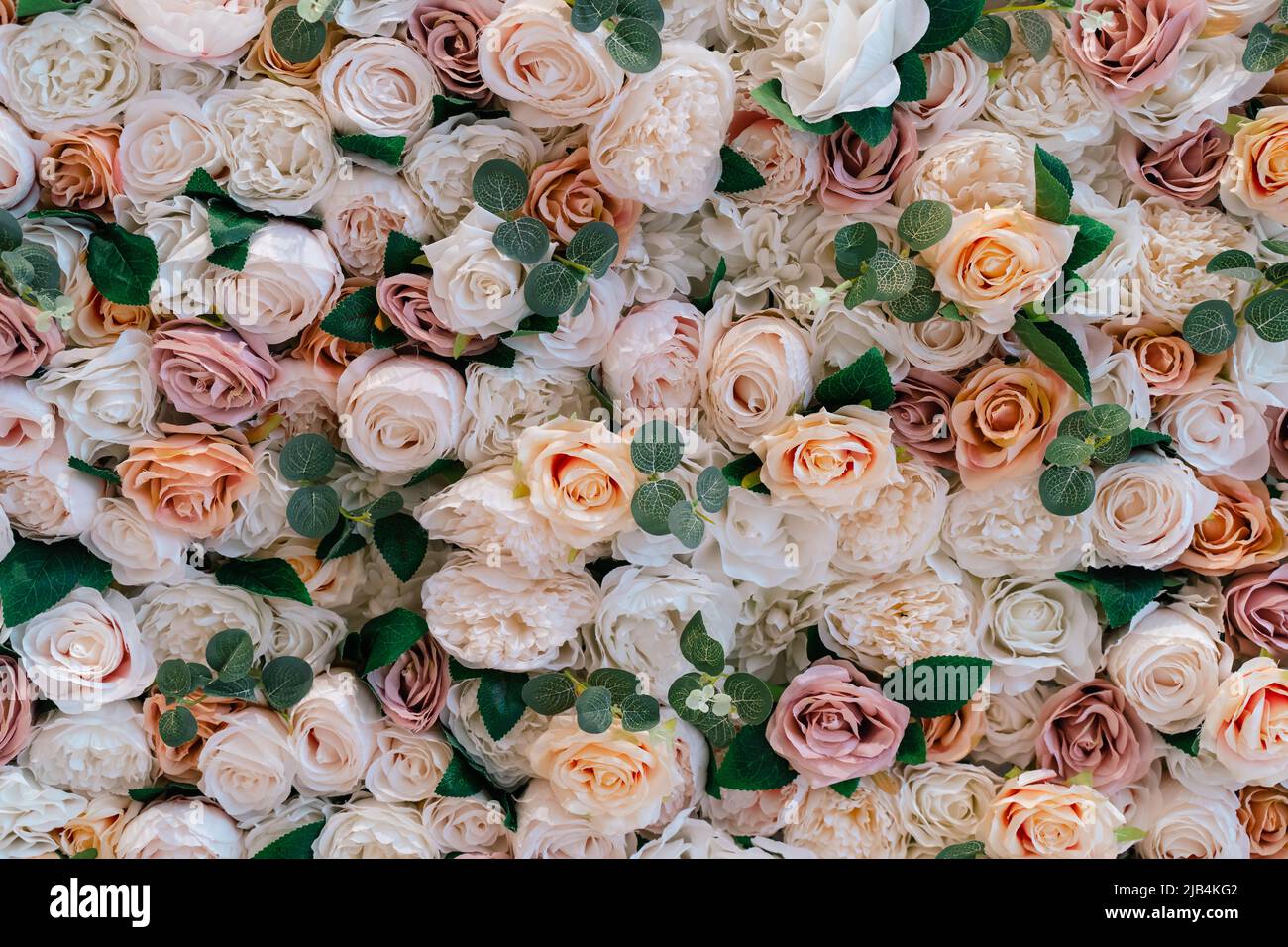 Nahaufnahme von pastfarbenen Blüten aus einem foralen Hintergrund oder einer Blumenwand Stockfoto