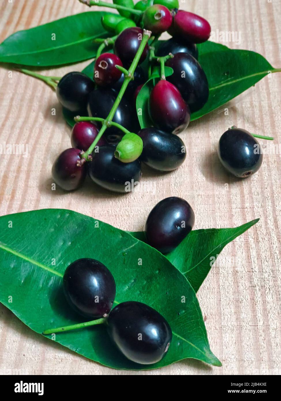 Frische Jambolan-Pflaume oder Java-Pflaume (Syzygium cumini) mit Blatt auf Holztisch. Stockfoto