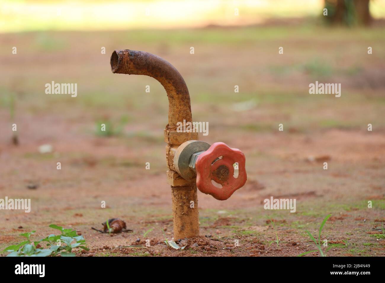 Wasserregelventil alt und rostig, das verwendet wird, um den Schlauch zu verbinden und die Gartenpflanzen im Boden in einem Garten zu bewässern Stockfoto