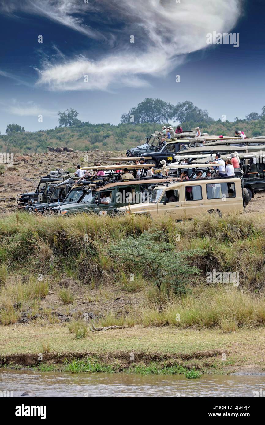 Safarikars auf dem Mara River mit Touristen, die auf die gnu-Migration warten, Masai Mara, Kenia, Afrka Stockfoto