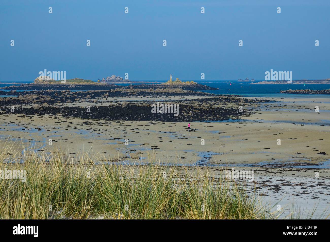 Atlantikküste bei Ploudalmezeau, Pays des Abers, Departement Finistere Penn ar Bed, Region Bretagne Breizh, Frankreich Stockfoto