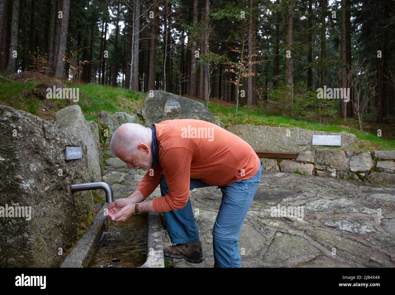 Wanderer erfrischt sich am Quellwasserbrunnen auf dem 1000 m hohen Sternstein Rundweg, Bad Leonfelden, Mühlviertler Region, Obere Stockfoto