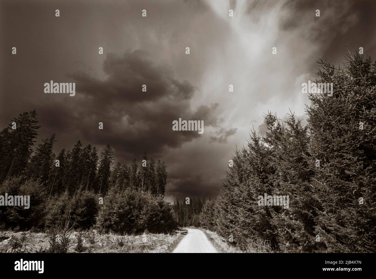 Sepiafarbter Waldweg durch einen Nadelwald mit bedrohlichen Sturmwolken am Himmel, Bad Leonfelden, Mühlviertler, Oberösterreich Stockfoto