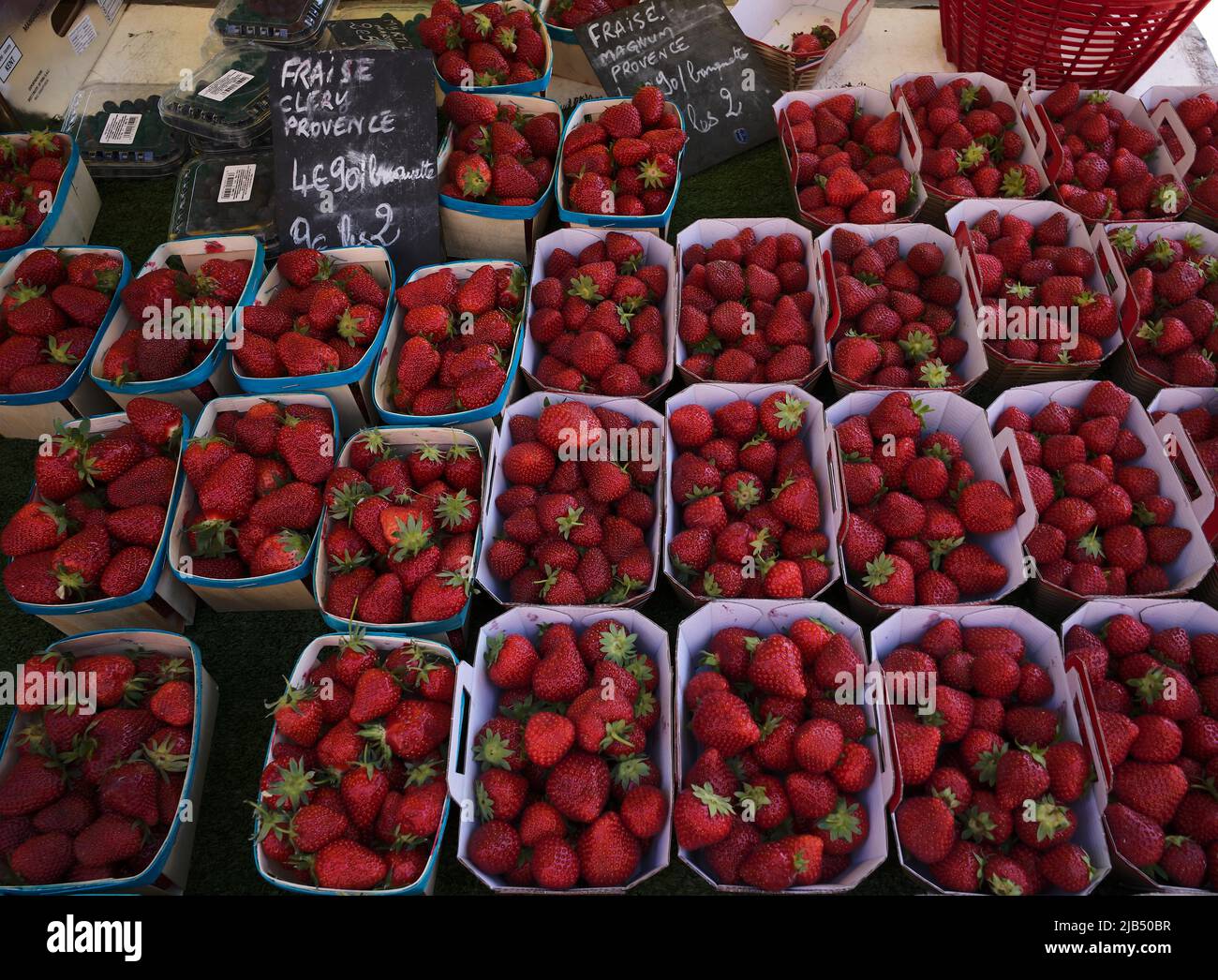 Frische Erdbeeren, Obststand, Marktstand, Wochenmarkt, Aix-en-Provence, Bouches-du-Rhone, Provence-Alpes-Cote d'Azur, Frankreich Stockfoto