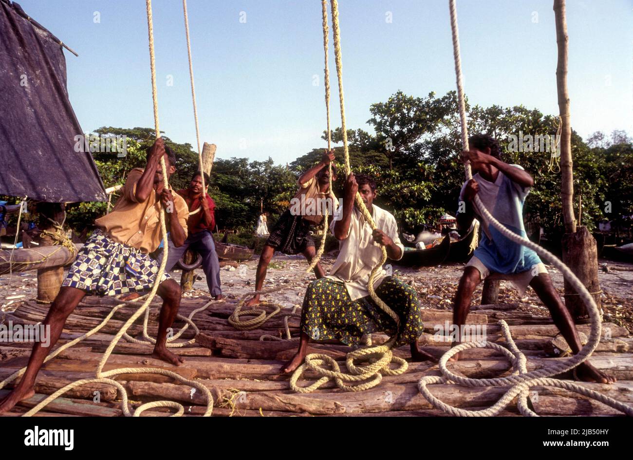 Betrieb der chinesischen Fischernetze oder Cheena vala in Fort Kochi oder Cochin, Kerala, Indien, Asien Stockfoto