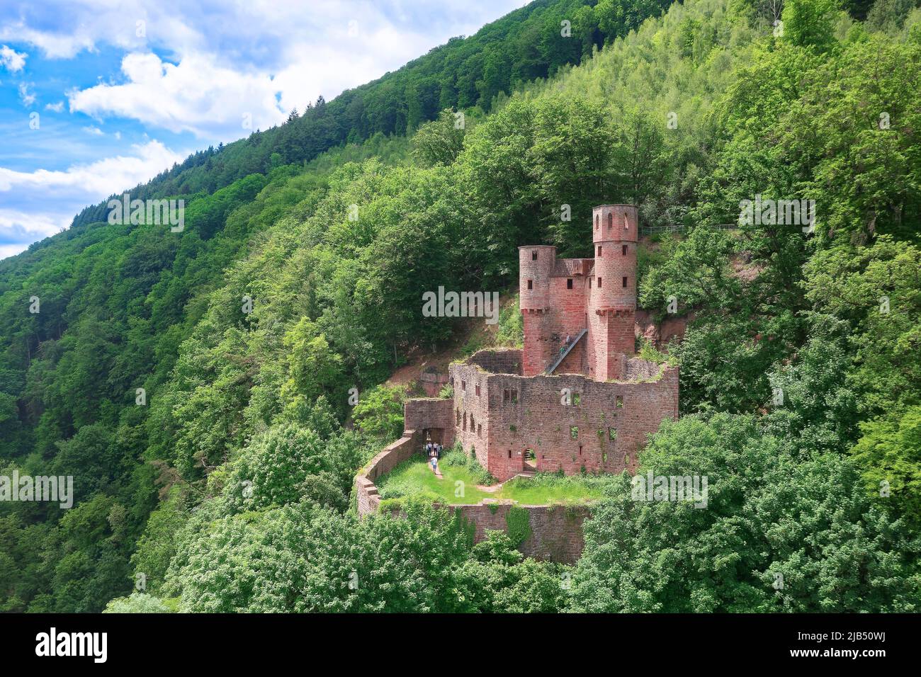 Luftaufnahme, Schloss Schadeck, auch bekannt als Schwalbennest, Ruine einer mittelalterlichen Burg auf einem Hügel auf einem felsigen Gelände bei 190 utricularia ochroleuca (ue.) Stockfoto