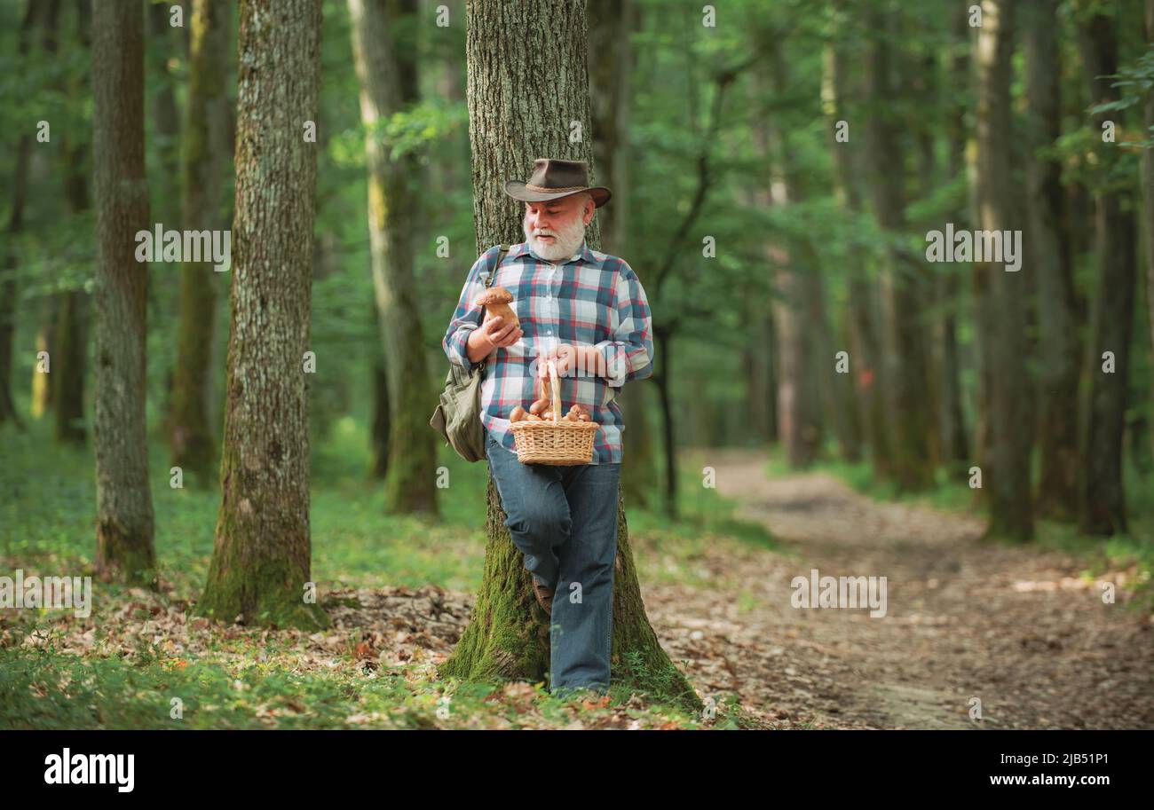 Alter Mann, der läuft. Opa Rentner. Senior Wandern im Wald. Sommer und Hobbys. Alte bärtige