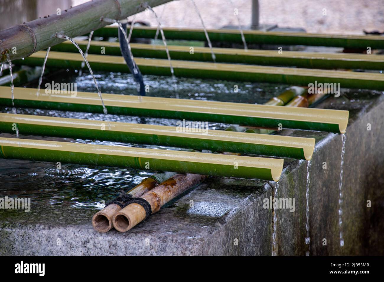 Bambus-Hishaku am Wasserbecken im Schrein in Izumo, Shimane, Japan. Hishaku ist eine japanische traditionelle Schöpfkelle, die verwendet wird, um das Wasser zur Reinigung zu schöpfen Stockfoto